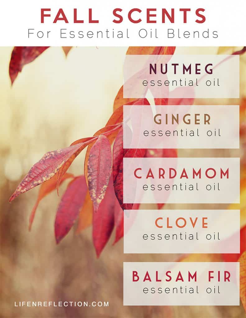 Top 5 Essential Oils for Fall LifenReflection