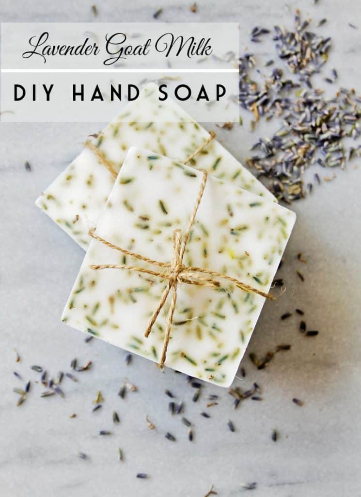 Lavender DIY hand soap you can make with goat milk melt and pour soap!