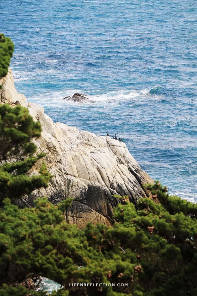 On the Coast of Big Sur