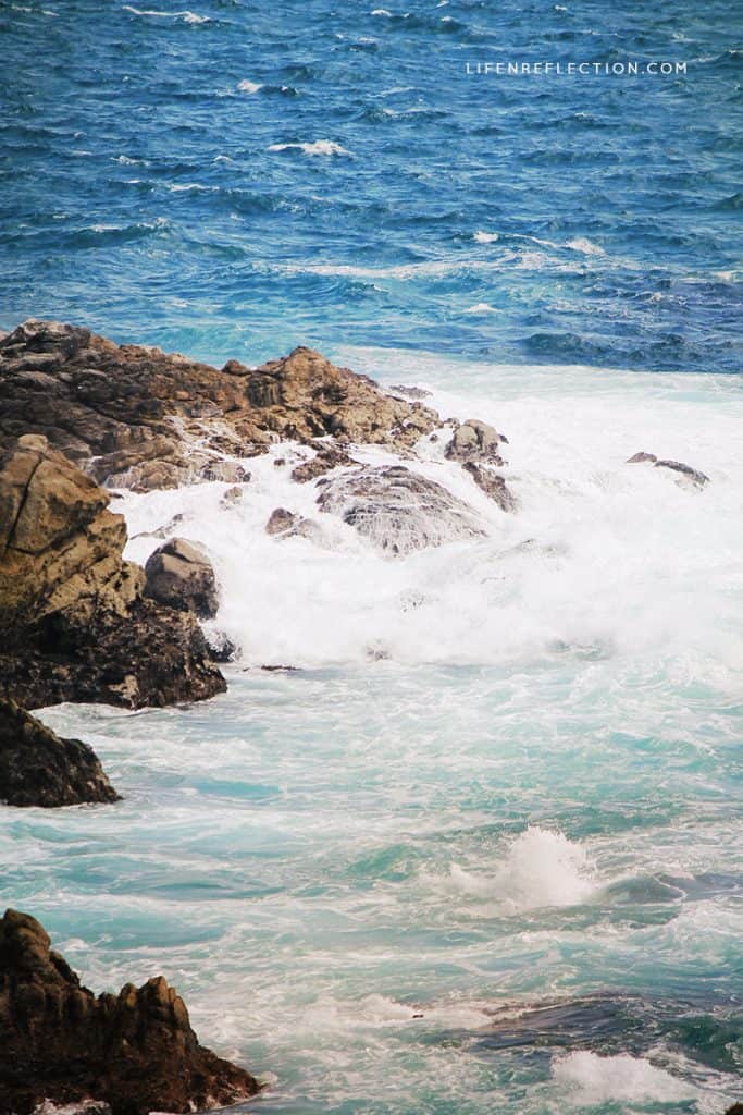 On the Coast of Big Sur