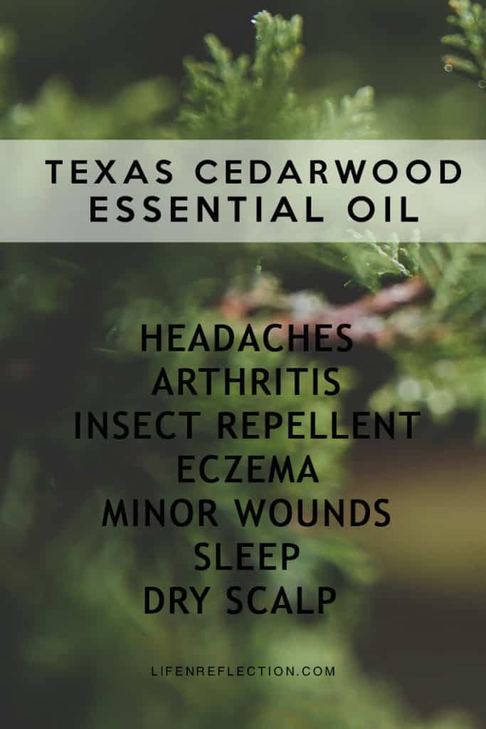 Texas Cedarwood Hand Lotion