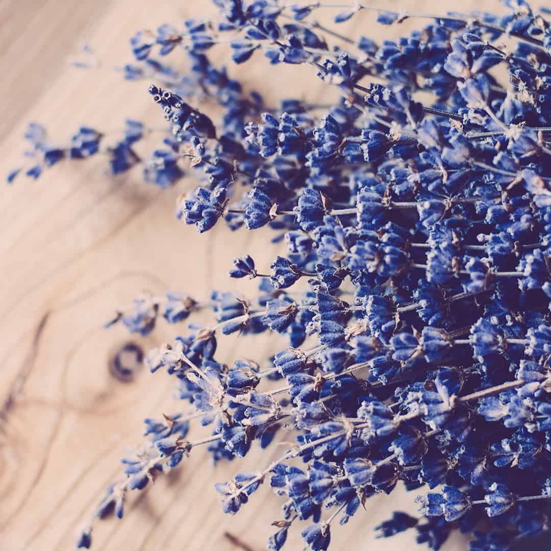 Smoothing Lavender Salt Bars