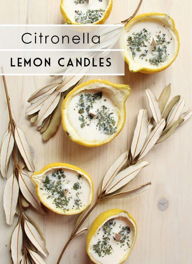 Citronella Lemon Bowl Candles