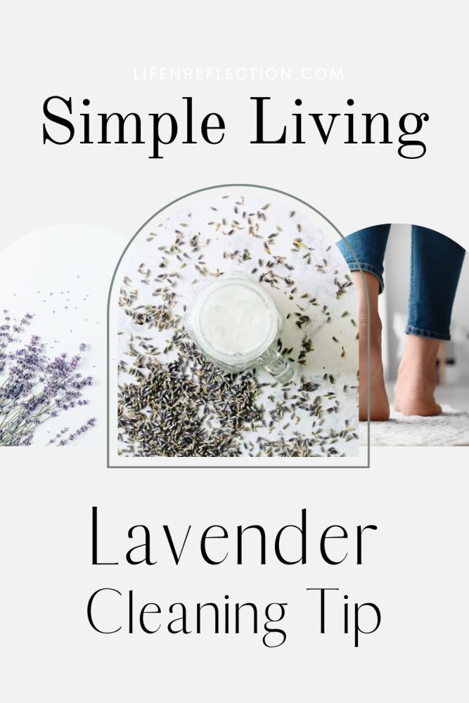 dried lavender stems, closeup of open jar of carpet powder, bare feet walking on a clean white rug.