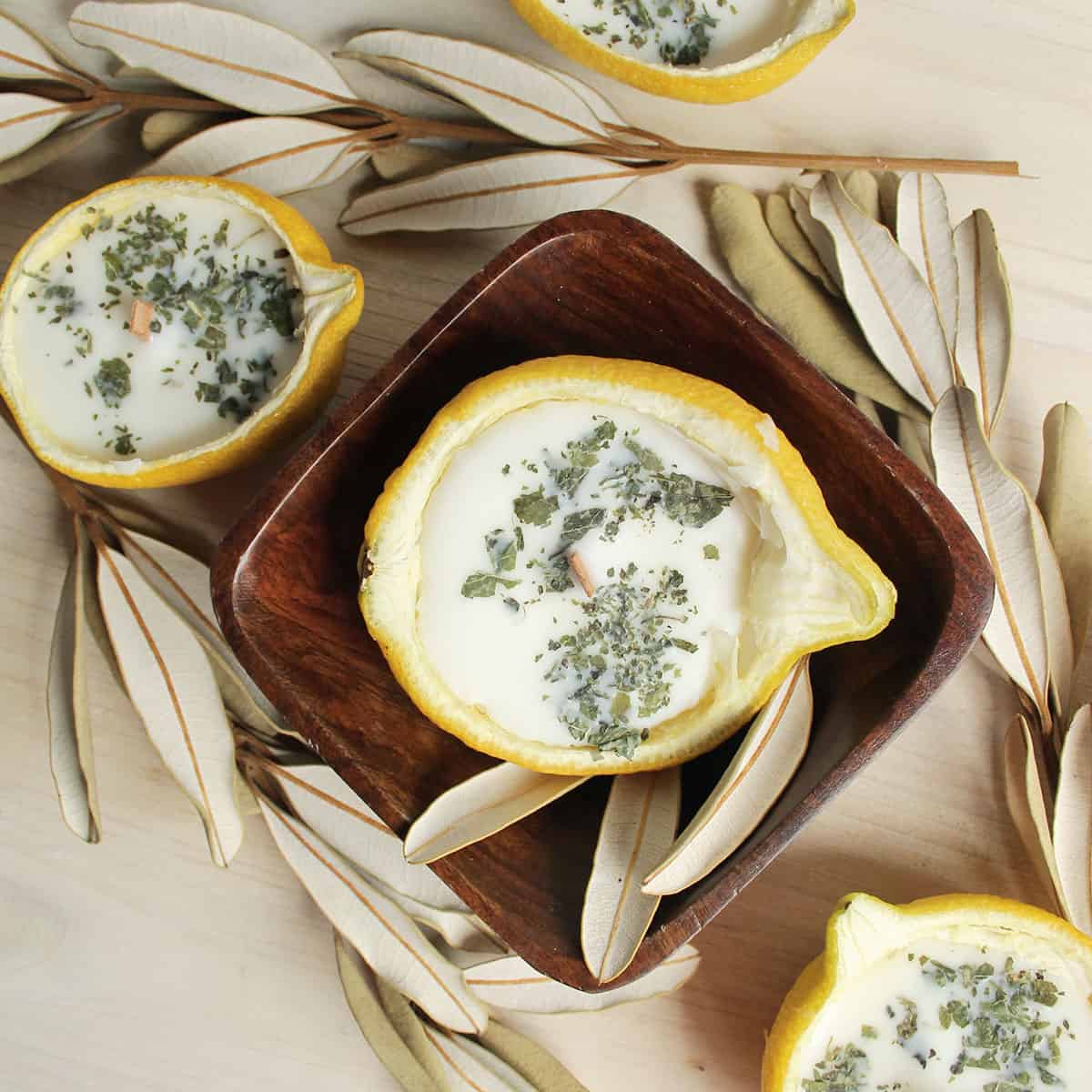 Citronella Lemon Bowl Candles