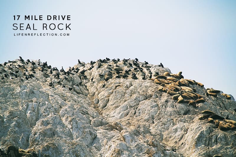 Seal Rock on 17 Mile Drive