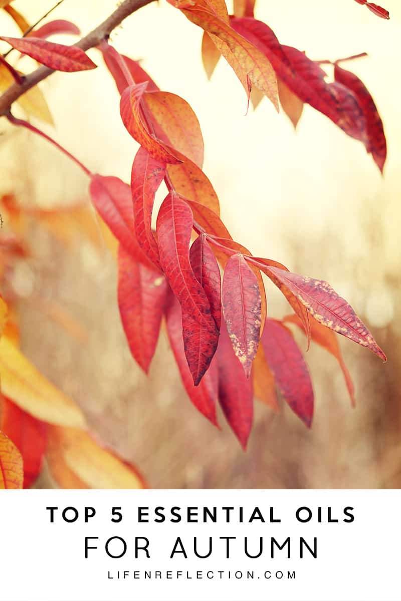 Essential Oils for Fall