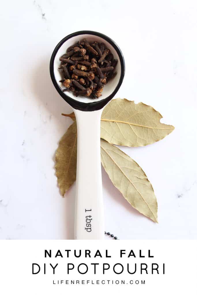 measuring scoop filled with whole cloves on top of bay leaves