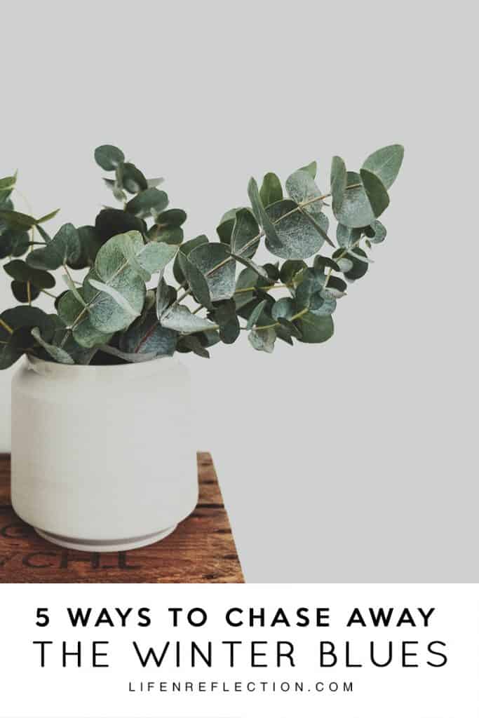 5 Ways to Chase Away the Winter Blues / How to Beat the Winter Blues