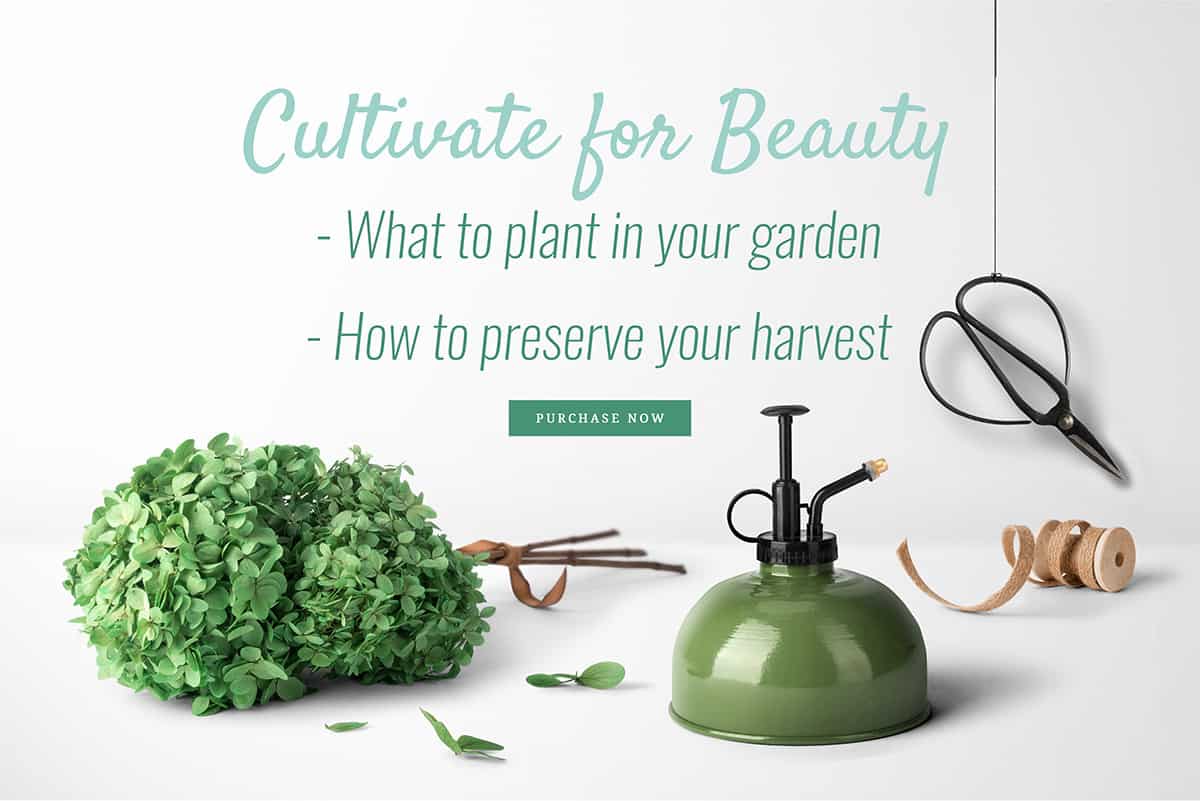 Each beauty recipe in this book is made with all natural ingredients and infused with fresh and dried staples from the garden