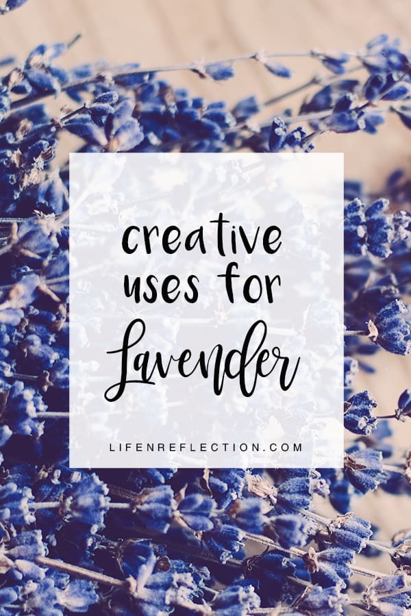 Discover 25 multi-purpose lavender uses to bring into your home with projects utilizing lavender flower’s versatility for cleaning, skincare, relaxing routines, and more.