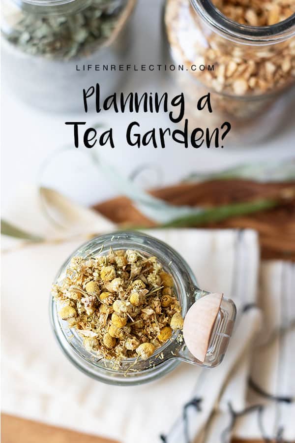 Planning a tea garden? Double your efforts and such herbs for relaxation and skin care!