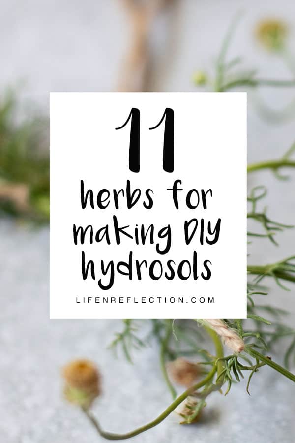Any plant can be used to make a hydrosol. But, that doesn’t mean all are suited for it. Here's 11 of the best herbs to make hydrosols.