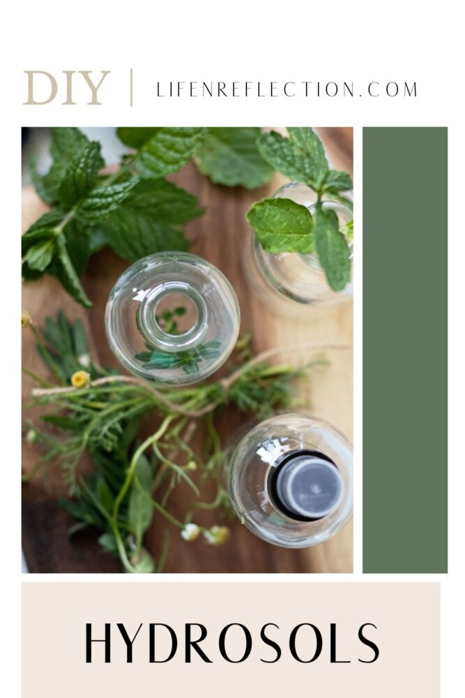 The beauty of a hydrosol is that it can replace distilled water in a lot of homemade recipes for the skin or home. Learn how to make a hydrosol with this tutorial!