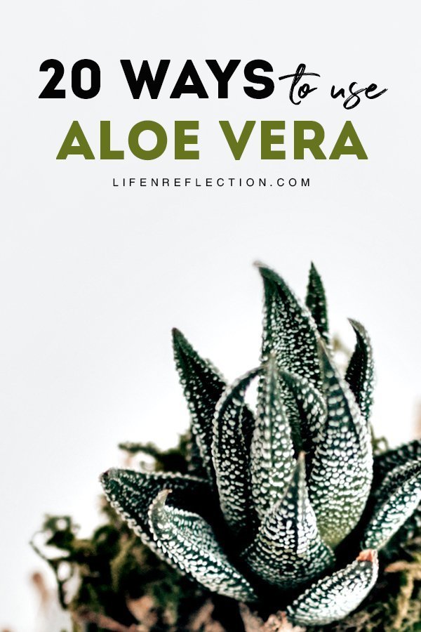 Aloe vera uses can encompass just about every part of our body, from head to toe! Including benefits of aloe for hair and skin alike. Here’s 20 ways to put this beauty plant to use!