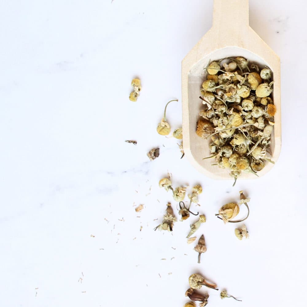 Scoop of dried chamomile