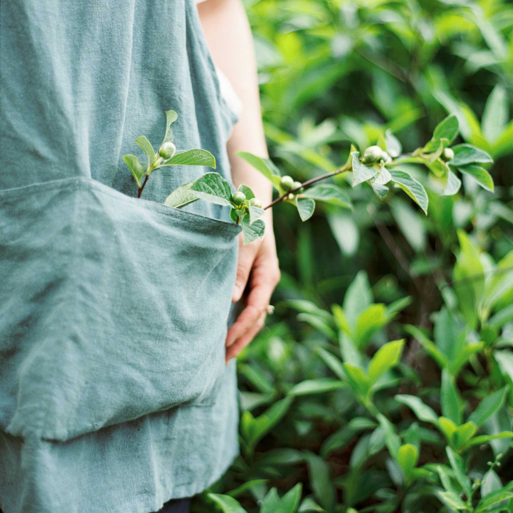woman standing in a spring garden
