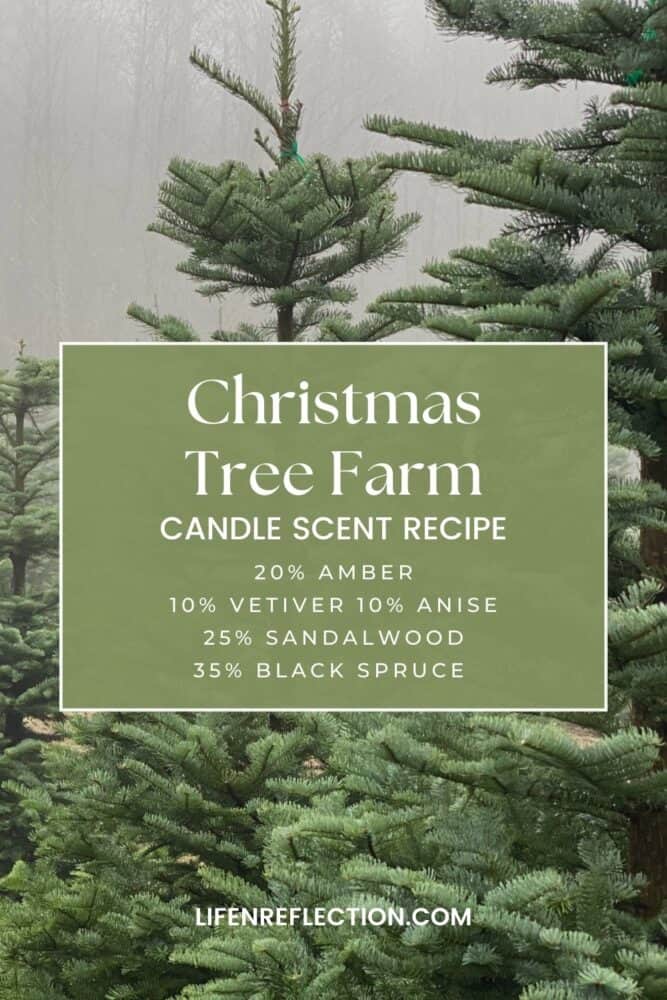 This scent recipe is a twist on the classic aroma of fresh cut Christmas tree with the added warmth of sandalwood and anise
