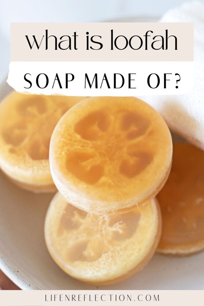 What is loofah soap made out of?