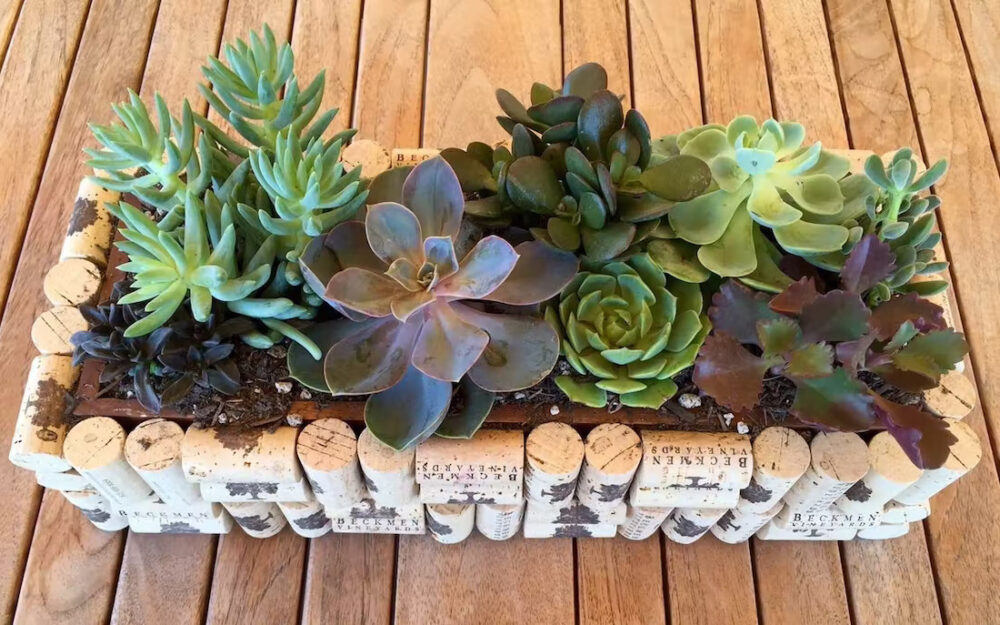That’s why when I came across this cork planter box I was immediately in love. 