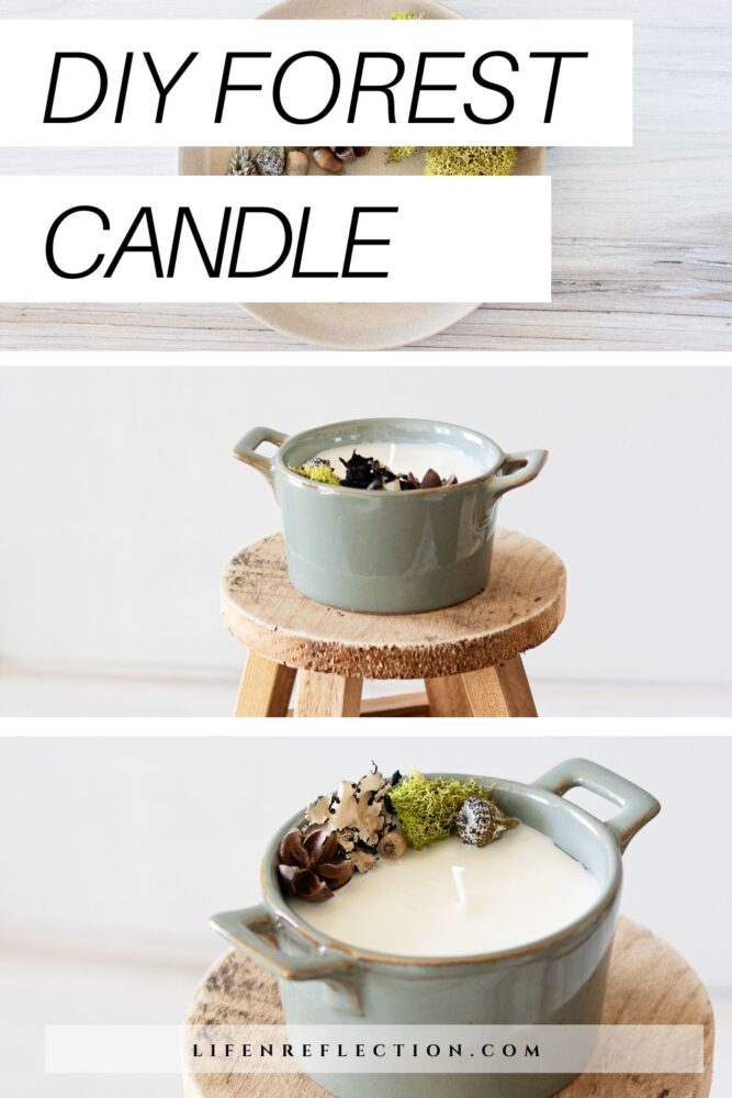 Now you can let the fragrant scent of eucalyptus, pine, and sandalwood wrap around you like a forest of trees with this DIY forest candle bowl.