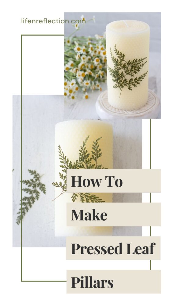 Now you can learn how to make beeswax pillar candles with our detailed guide, including tips for pressing leaves to make green leaf candle pillars and step-by-step instructions to roll beeswax sheets into a large candle pillar.