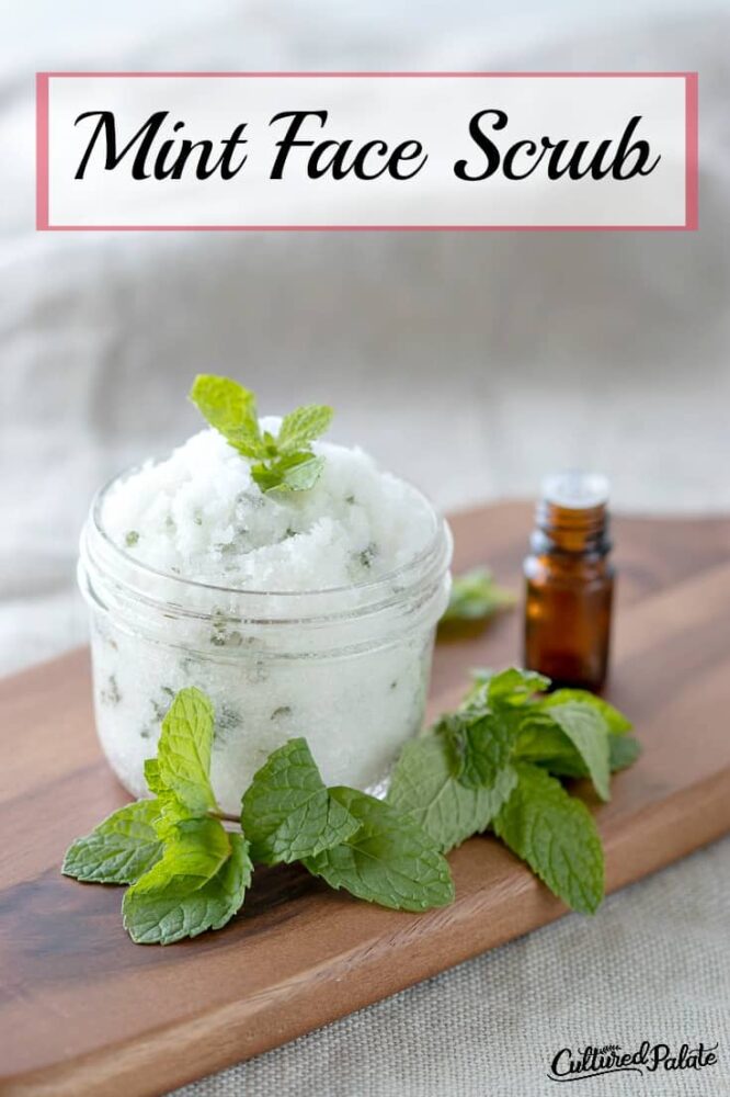 This mint face scrub recipe will make you believe that healthy-looking skin does not have to cost a fortune.
