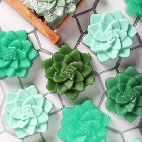 succulent soap kit