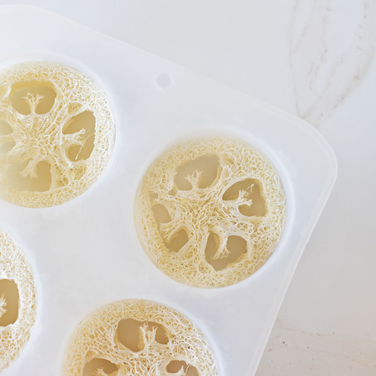 steps to making loofah soaps at home image of sliced loofah inside soap mold