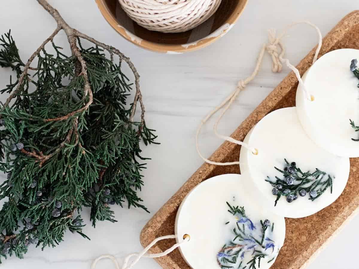 Closeup of white soy wax sachets with juniper and cornflower next to a juniper branch