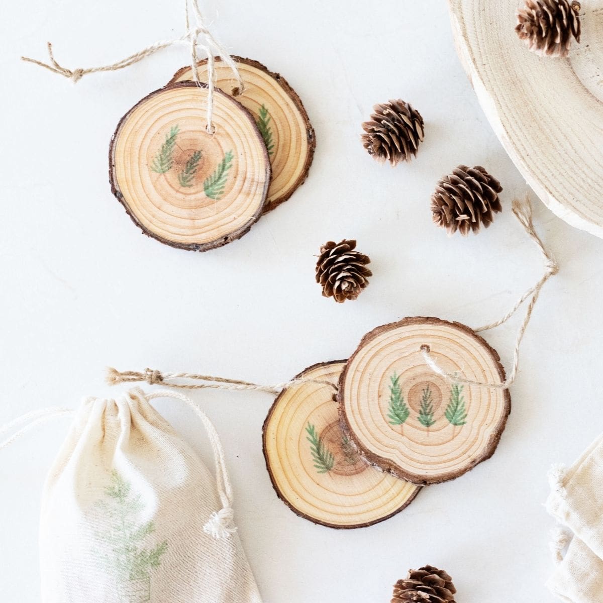 stamped, rustic, circular pine wood slices on a white surface with mini pine cones