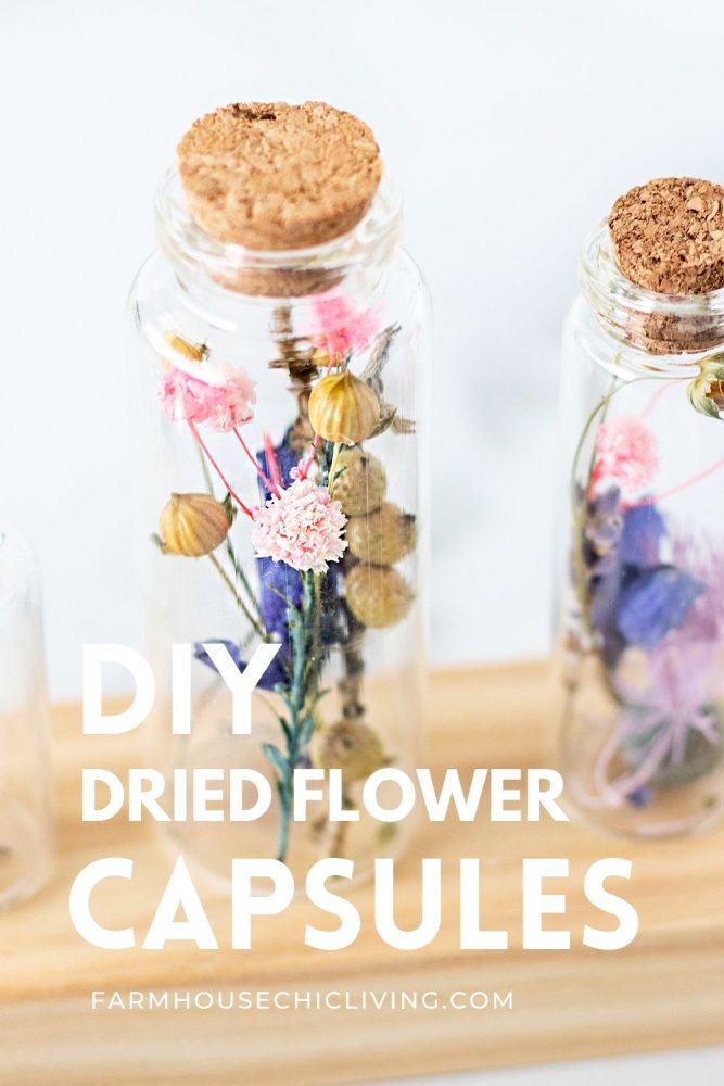 closeup of glass capsules filled with colorful pastel dried flowers