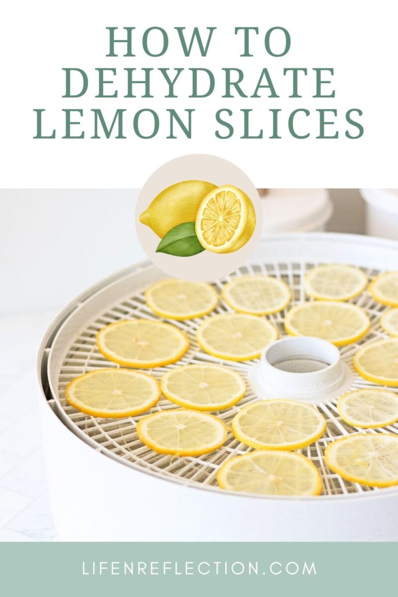 looking over an open dehydrator filled with lemon slices