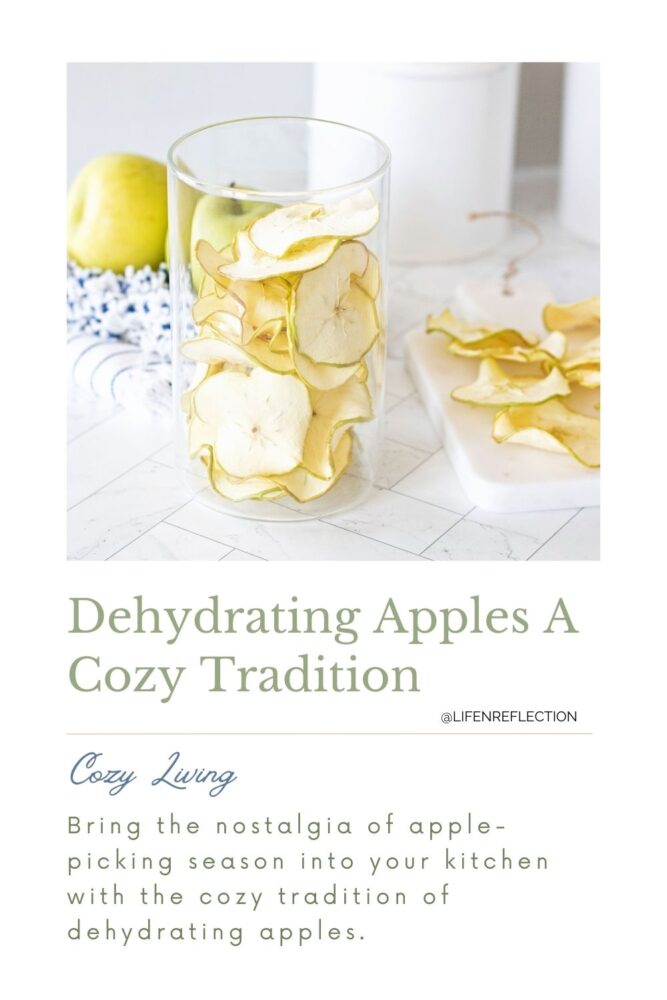 Big tall glass jar filled with dehydrated apples slices on a sunny surface