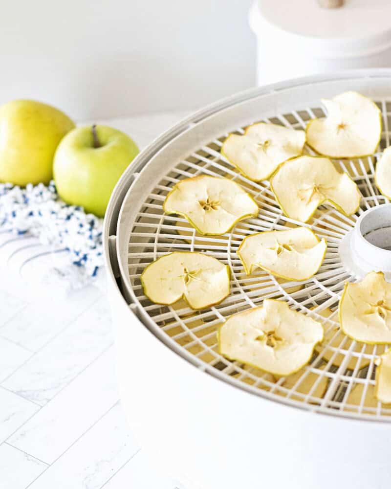 open dehydrator with dried apples slices inside next to granny smith apples on a kitchen counter