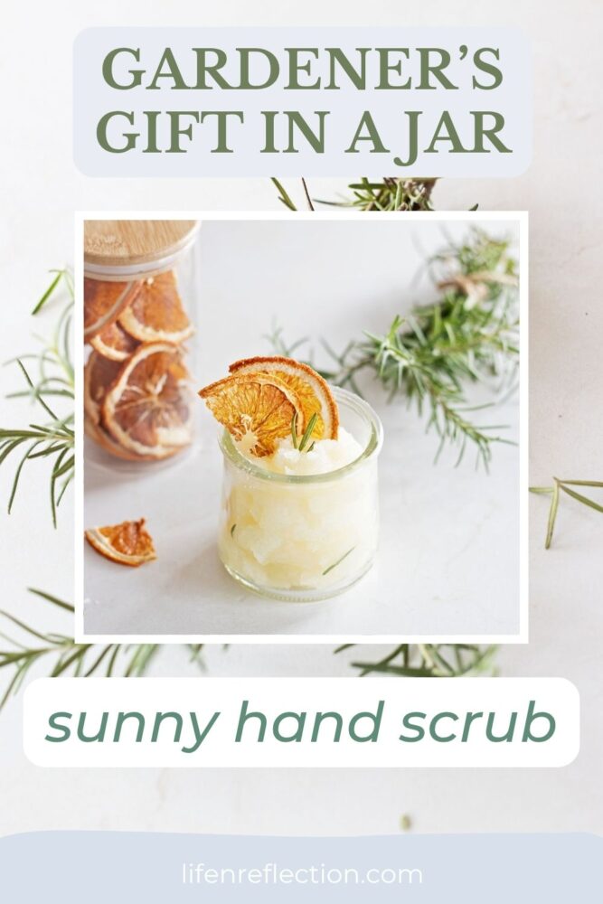 glass yogurt jar filled with a homemade hand scrub topped with dried orange slices