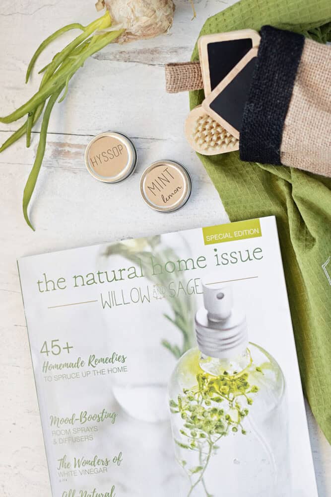 Natural Home Magazine by Stampington and Co cover emaoung plants and garden seeds.