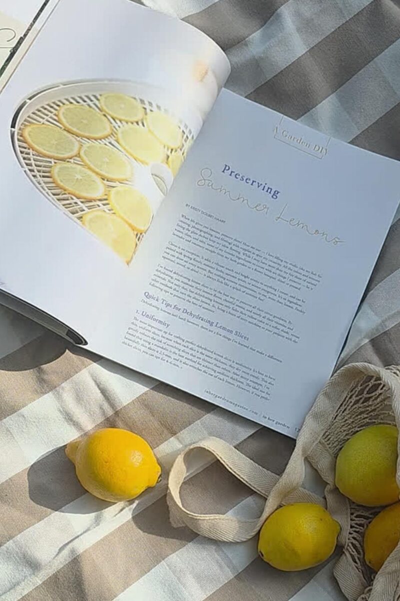 Preserving Summer Linens Article inside In Her Garden Magazine