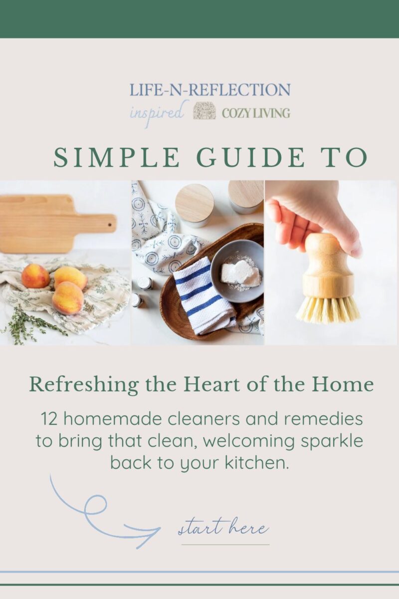 collage of a clean kitchen prep space, making kitchen deodorizer, and hand holding cleaning brush